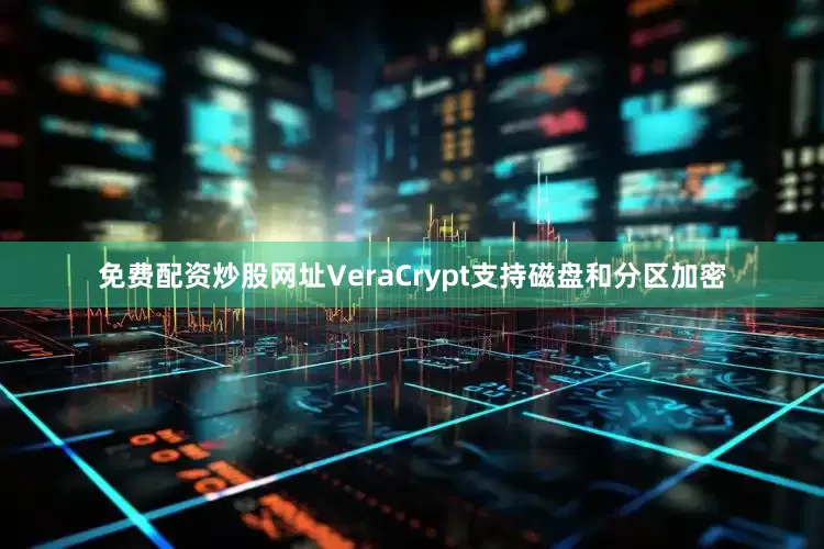 免费配资炒股网址VeraCrypt支持磁盘和分区加密