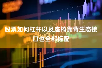 股票如何杠杆以及座椅靠背生态接口也全部标配