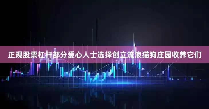 正规股票杠杆部分爱心人士选择创立流浪猫狗庄园收养它们