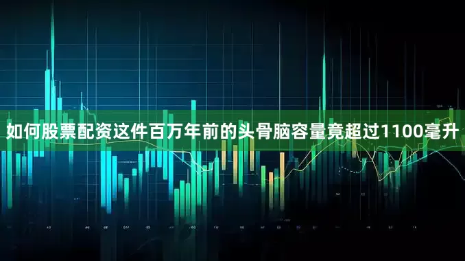 如何股票配资这件百万年前的头骨脑容量竟超过1100毫升